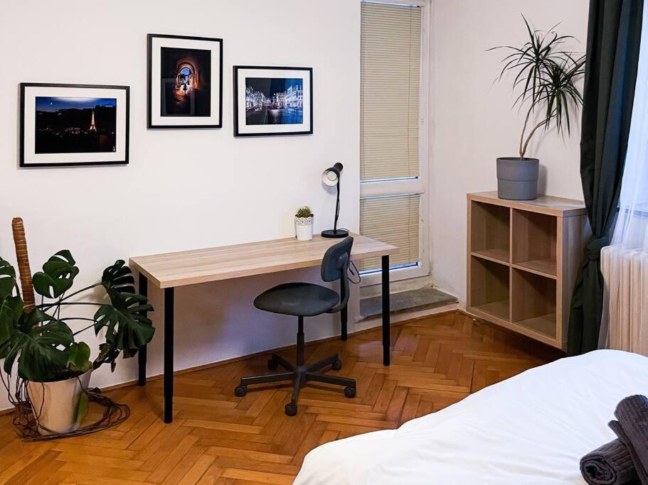 Rodinny Byt Pro 4 Na Brno-Stred 외부 사진